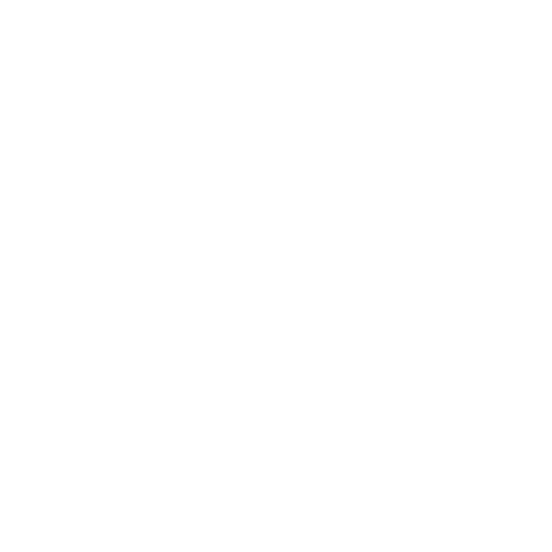 google map logo
